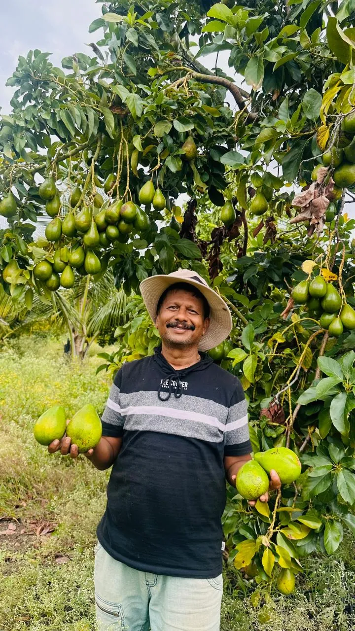 Fresh organic harvest