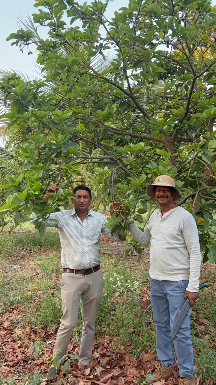 Farm produce collection