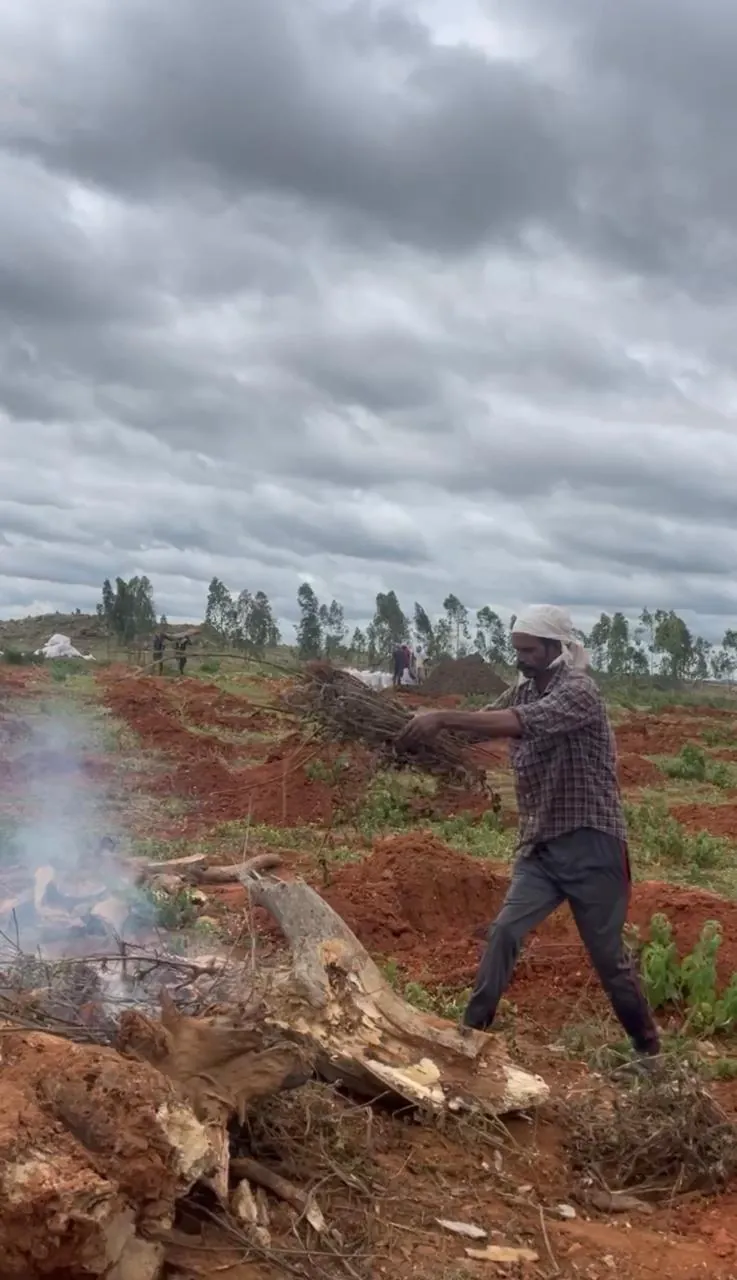 Integrated pest approach