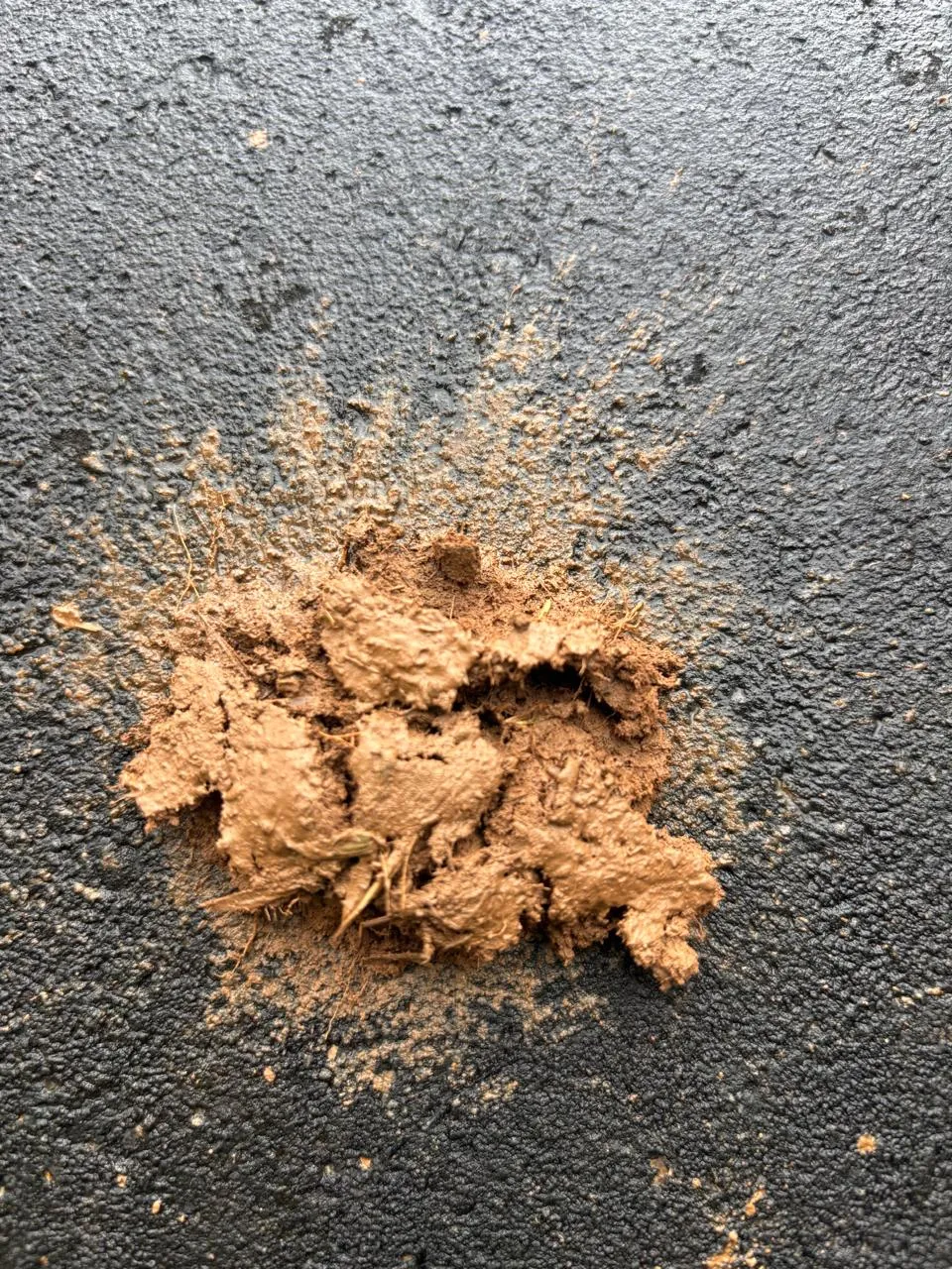 Agronomists conducting hands-on site assessment and soil testing