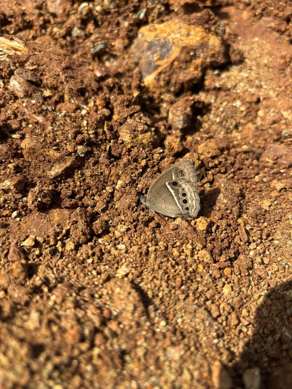 Soil and terrain assessment