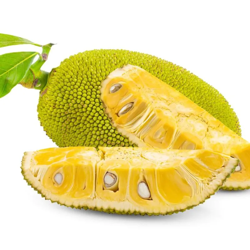 all season jackfruit