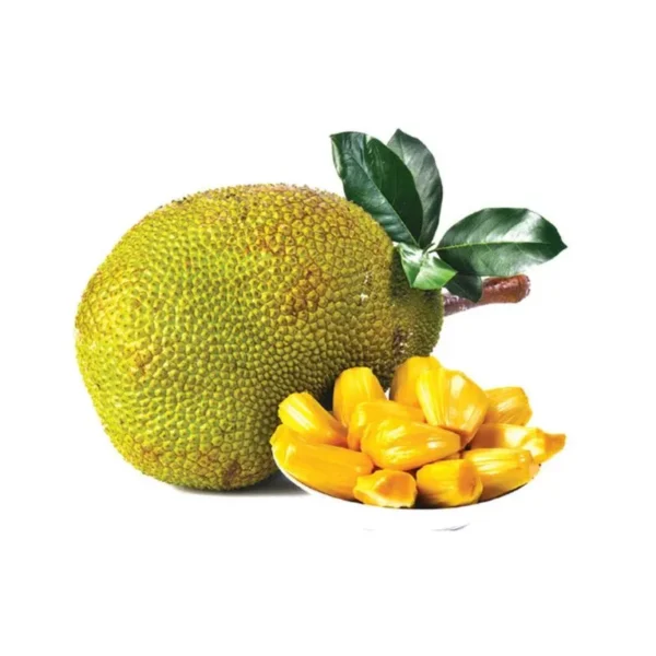 hemachandra jackfruit