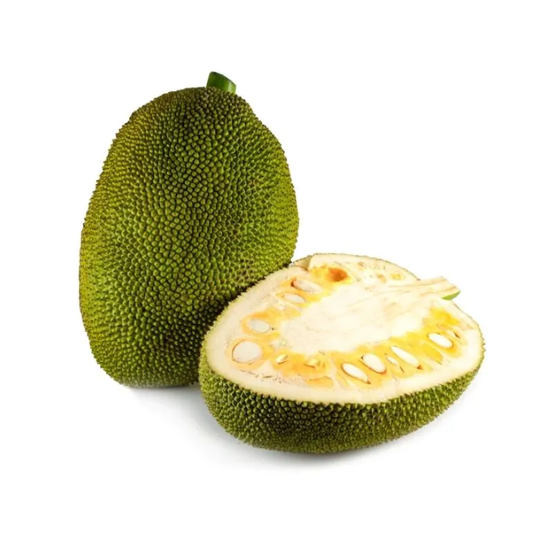 mijar gaint jackfruit