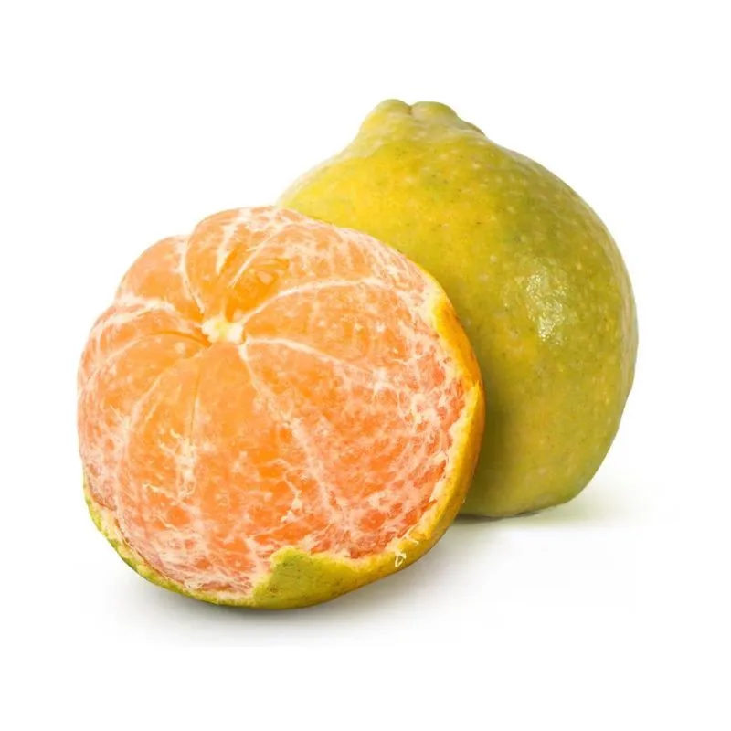 nagpur orange