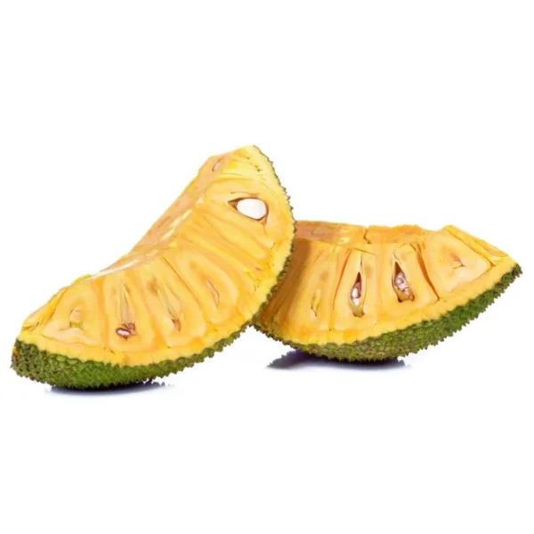 prakashchandra jackfruit