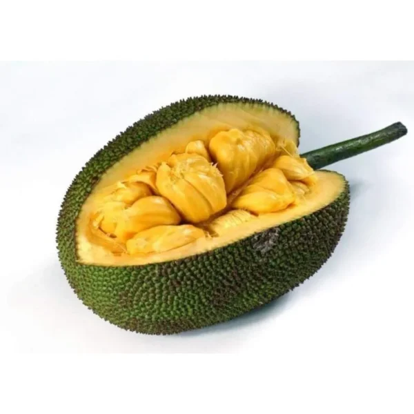 seedless jackfruit