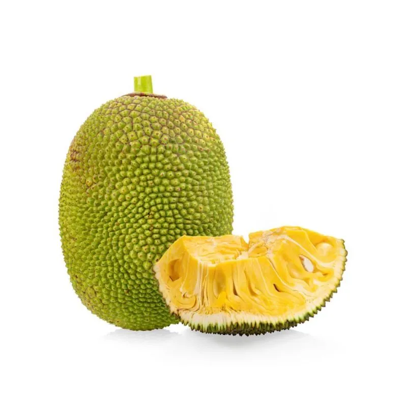 thailand new jackfruit