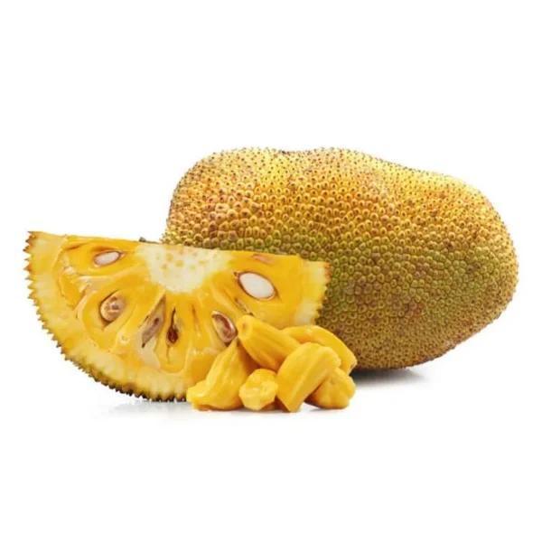 yellow rudrakshi jackfruit