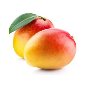 Buy PusaSurya-Mango-plant online