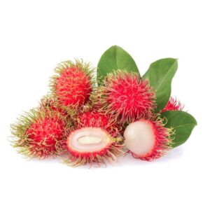 Buy Rambutan-KG-10-plant online