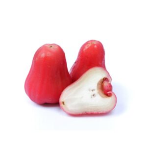 Buy Water-Apple-Cherry-plant online