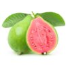 spicy guava fruit-fruit-image-Hasiruagro