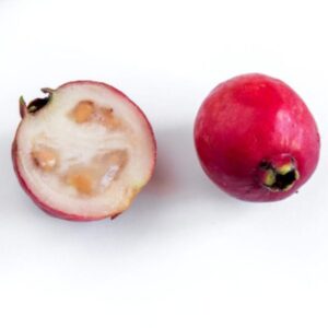 strawberry guava-fruit-fruit-image-Hasiruagro