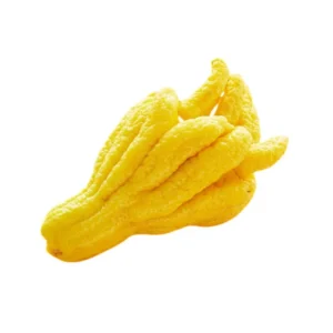 Buy Buddhas-hand-lime-fruit-plant online