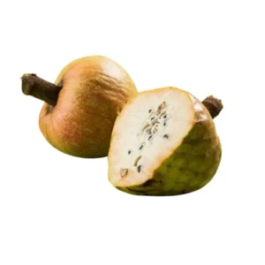 Buy Ramphal-fruit-plant online