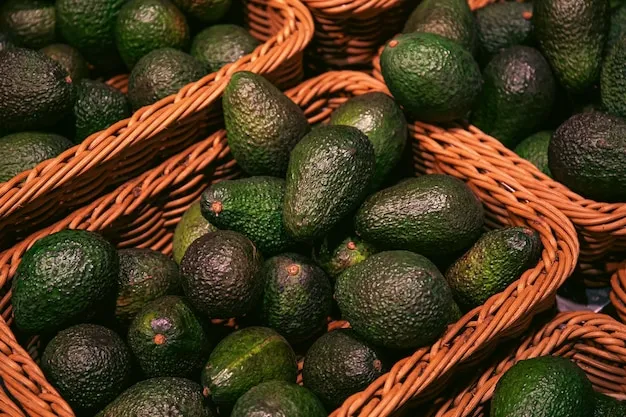 avocado tree care guide