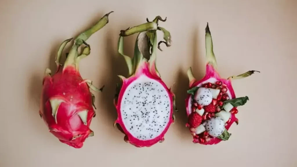Dragon fruit farming in India
