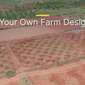 The Secret Science of a Successful Farm