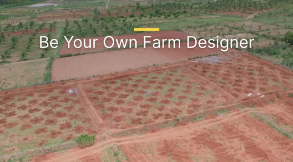 The Secret Science of a Successful Farm